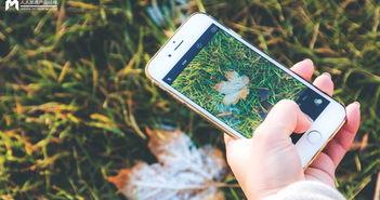 手机看片1024国产旧版,经典回忆，重温经典瞬间  第3张