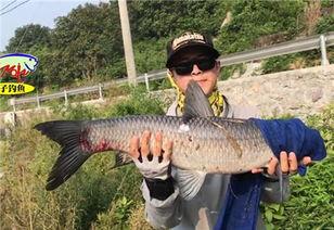 青鱼视频国产在线,国产在线影视盛宴，尽享视听盛宴  第2张