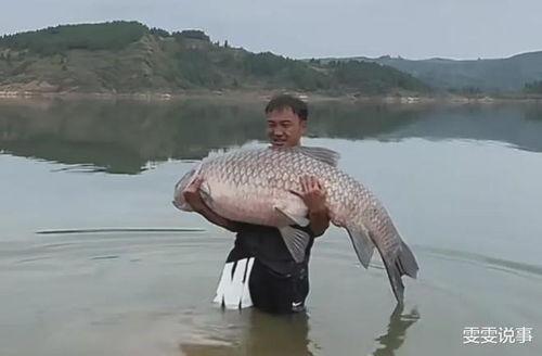 青鱼视频国产在线,国产在线影视盛宴，尽享视听盛宴  第3张