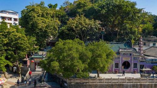 69视频国产免费,揭秘热门国产影视资源平台  第3张