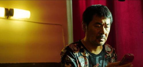 国产乱理,揭秘中国影视行业背后的乱象与反思  第2张