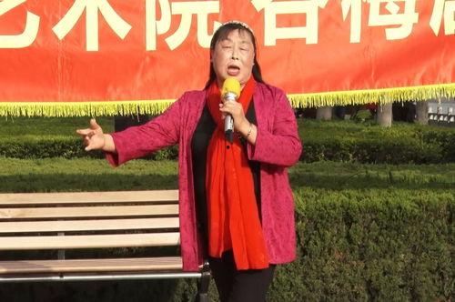 国产零零发  第3张