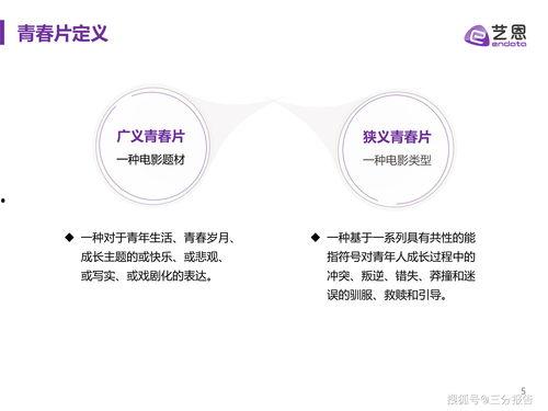 国产39页,揭秘我国科技发展的新篇章  第2张