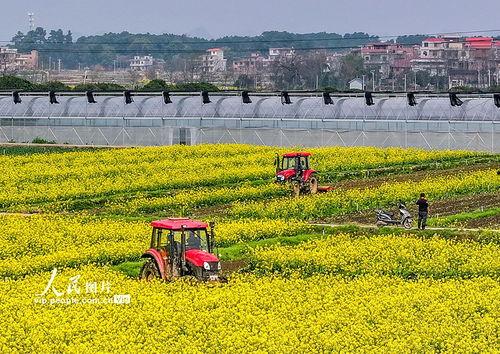 1024国产区 第2张 1024国产区 第2张