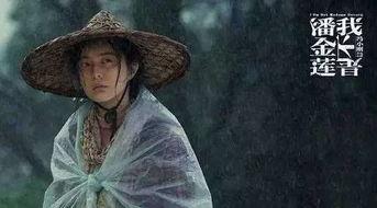 国产特级毛片潘金莲  第1张