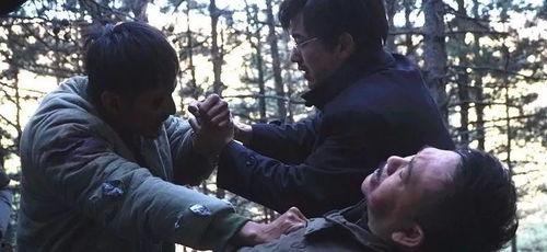 国产乱1,揭秘影视行业背后的利益纠葛与道德困境  第3张