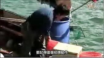 国产伊甸园,探寻东方梦幻乐园的奇幻之旅 第3张 国产伊甸园,探寻东方梦幻乐园的奇幻之旅 第3张