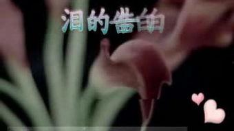 国产3p对白在线视频 第1张 国产3p对白在线视频 第1张