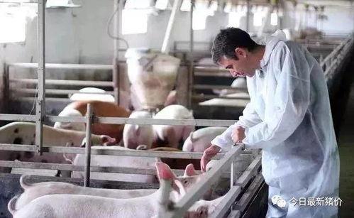 吃瓜猪娱乐多人产房